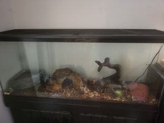55 Gallon Fish/reptile Rank (Long Type)