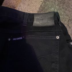 Harley levi jeans  