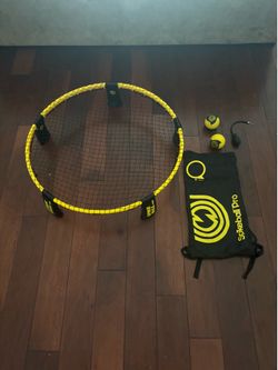 Pro spikeball net