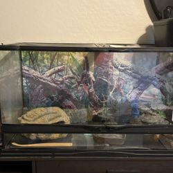 Reptile Terrarium 