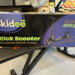 Adult Scooter With Antishock Suspension 