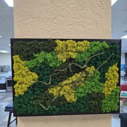 BRAND NEW 
Moss Wall decor Real Preserved Moss No Maintenance Required Eco Natural Green Wall Art Moss Frame Living Plants Vertical Garden 19.7 x13.8i