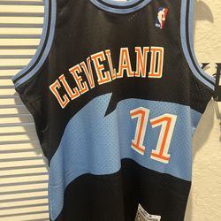 Zydrunas Ilgauskus Jersey 