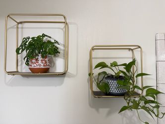 Shelves
