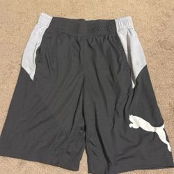 Puma 9” Shorts 