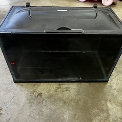 5 Gallon Fish Tank 