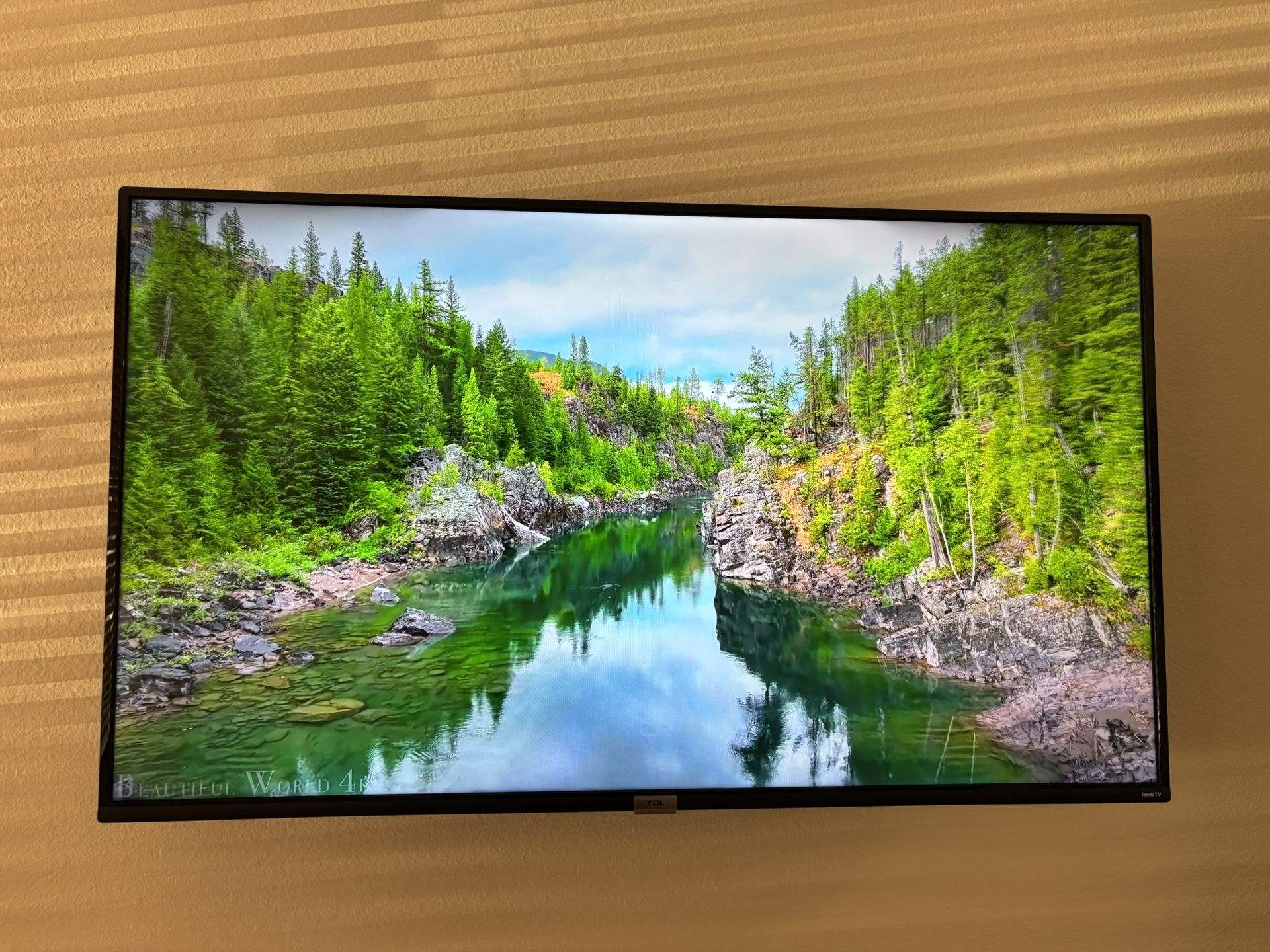 Roku 48in TV With Wall Mount