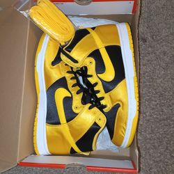 Nike Hi Dunks