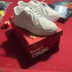 White Pumas 