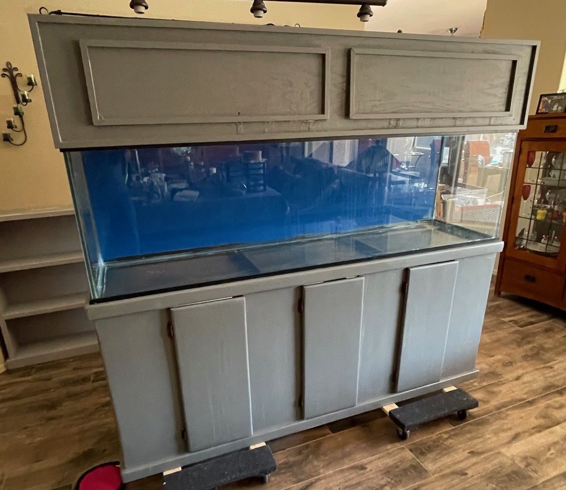 125 Gallon Aquarium