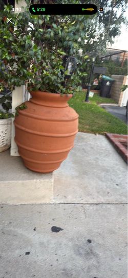Clay pot