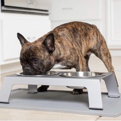 (2) PetFusion Elevated Food Stands