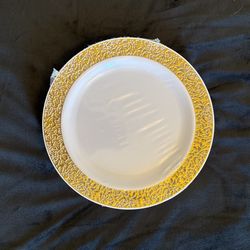 100 Large Party Plates