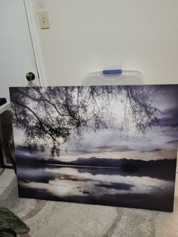 Large Picture