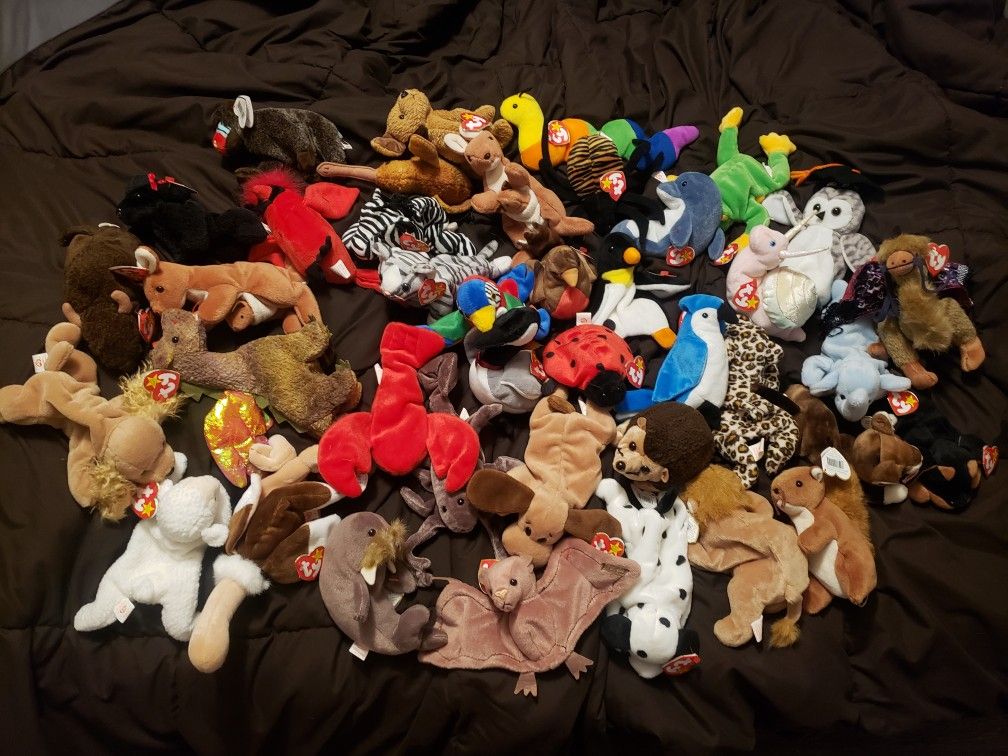 Beanie Babies!