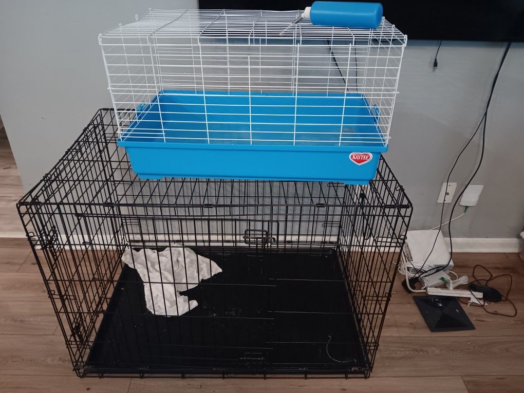 Dog Kennel And Bunny Cage