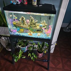 Fish Tank 