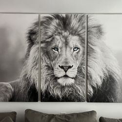 3 Piece Lion Canvas 
