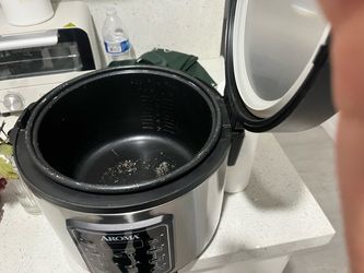 Rice cook