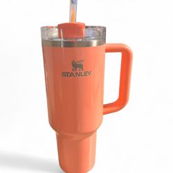 40 Oz  Elf Collection  Stanly 
