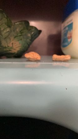 Puffed Cinnamon Toat Crunch Cereal