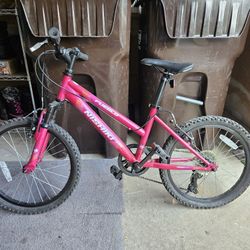 20 Inch Wheel Youth Bike