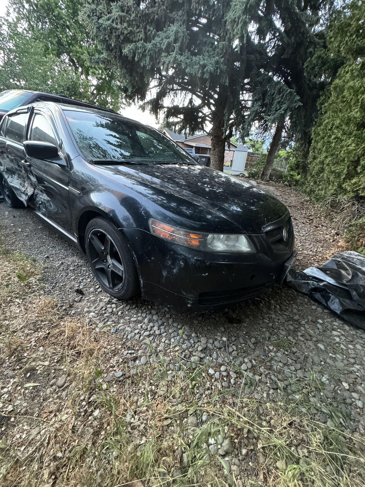 Acura TL