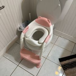 Potty Toilet seat with ladder