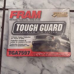 FRAM Air Filter