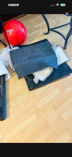 Free beach balls, exercise ball, free Rugs Floor Mat Matt, Pick Up In Mira Mesa