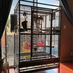 Bird Cages 