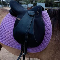 horse saddle
