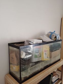55 gallon fish tank