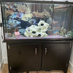 75 Gallon Fish Tank With Filter And Table 