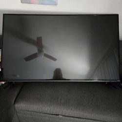 Vizo 50in TV 