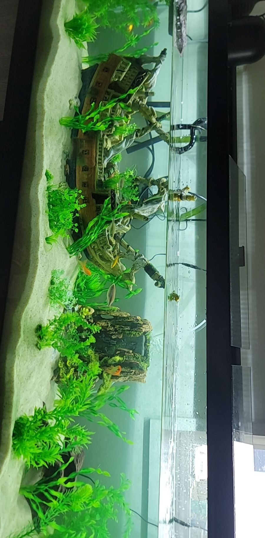 125 Gallon Fish/turtle Tank With All Equipment 