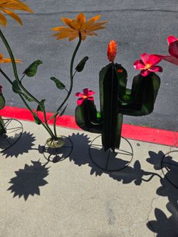 Nopal a slo ($ 65)