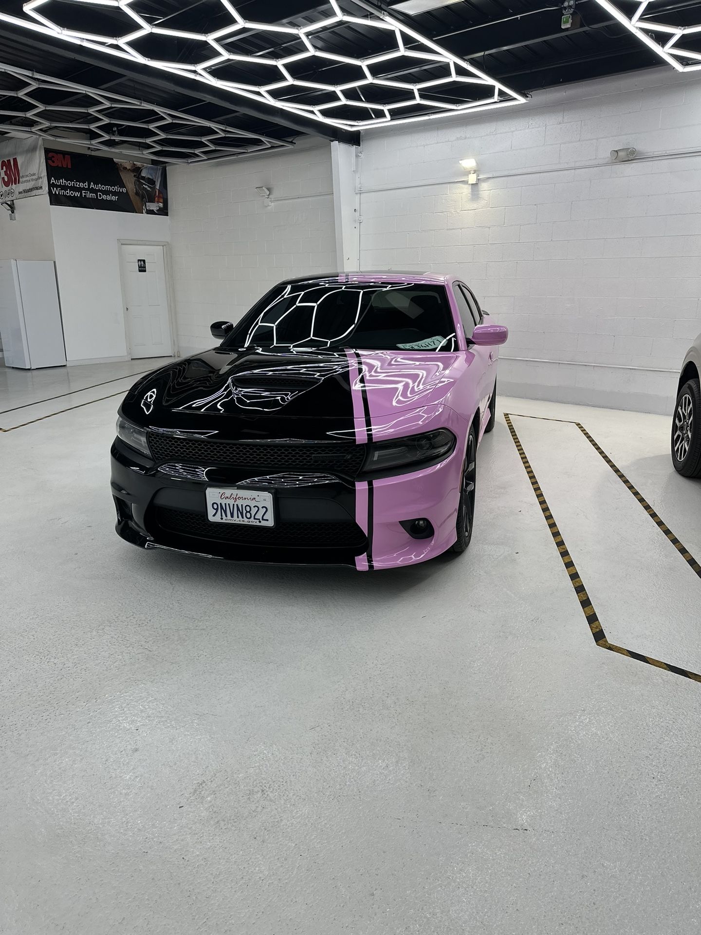 Full Body Wrap Material Only