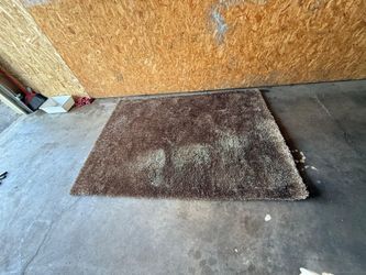 Brown Shag Rug