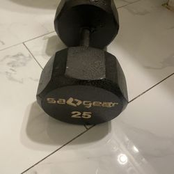 25 Pound Dumbell(cheap) Buy Now!!!