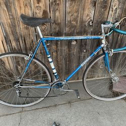 Vintage Bikes! 
