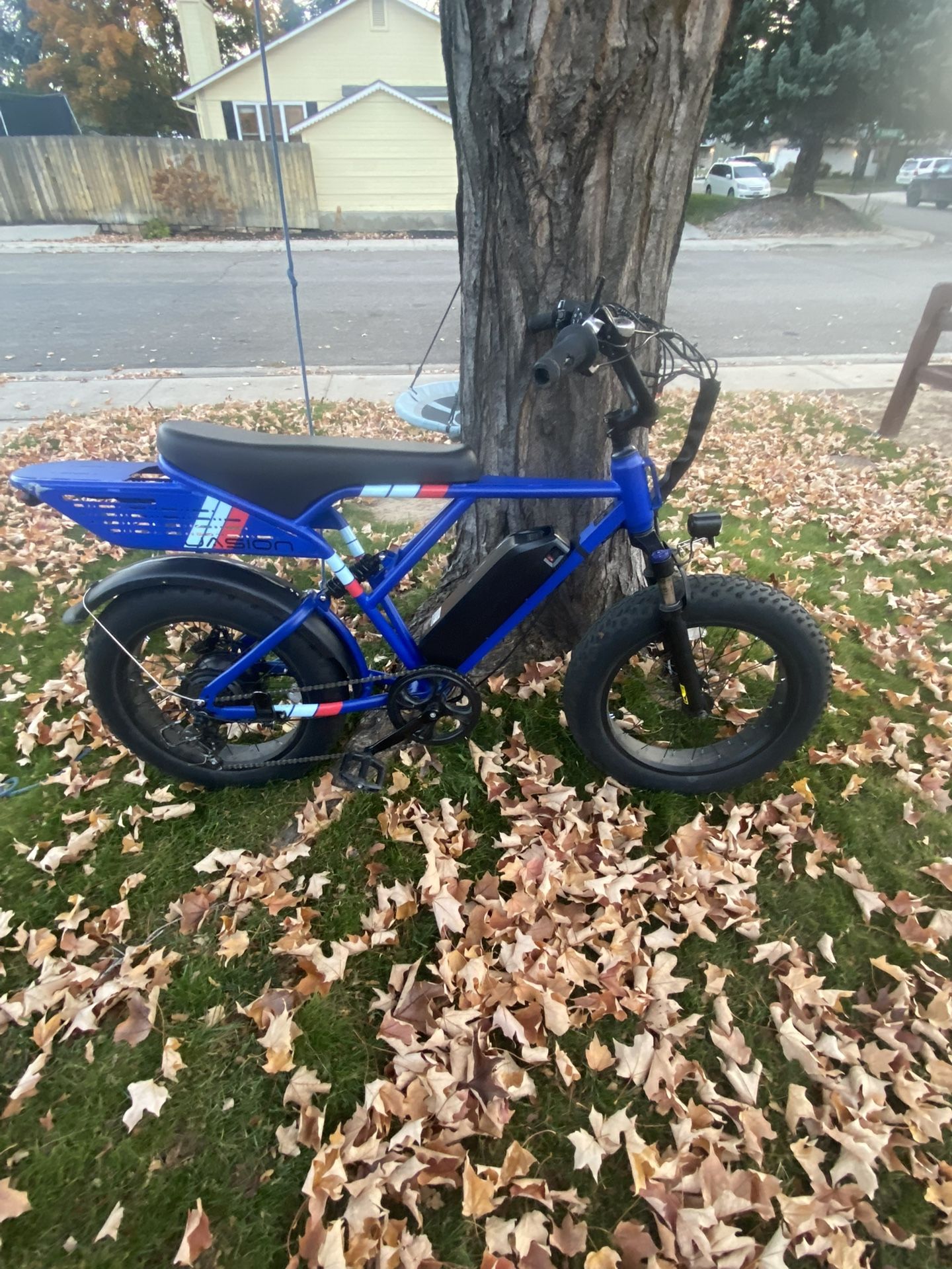 Jasion Retrovolt E-bike 35 Mph