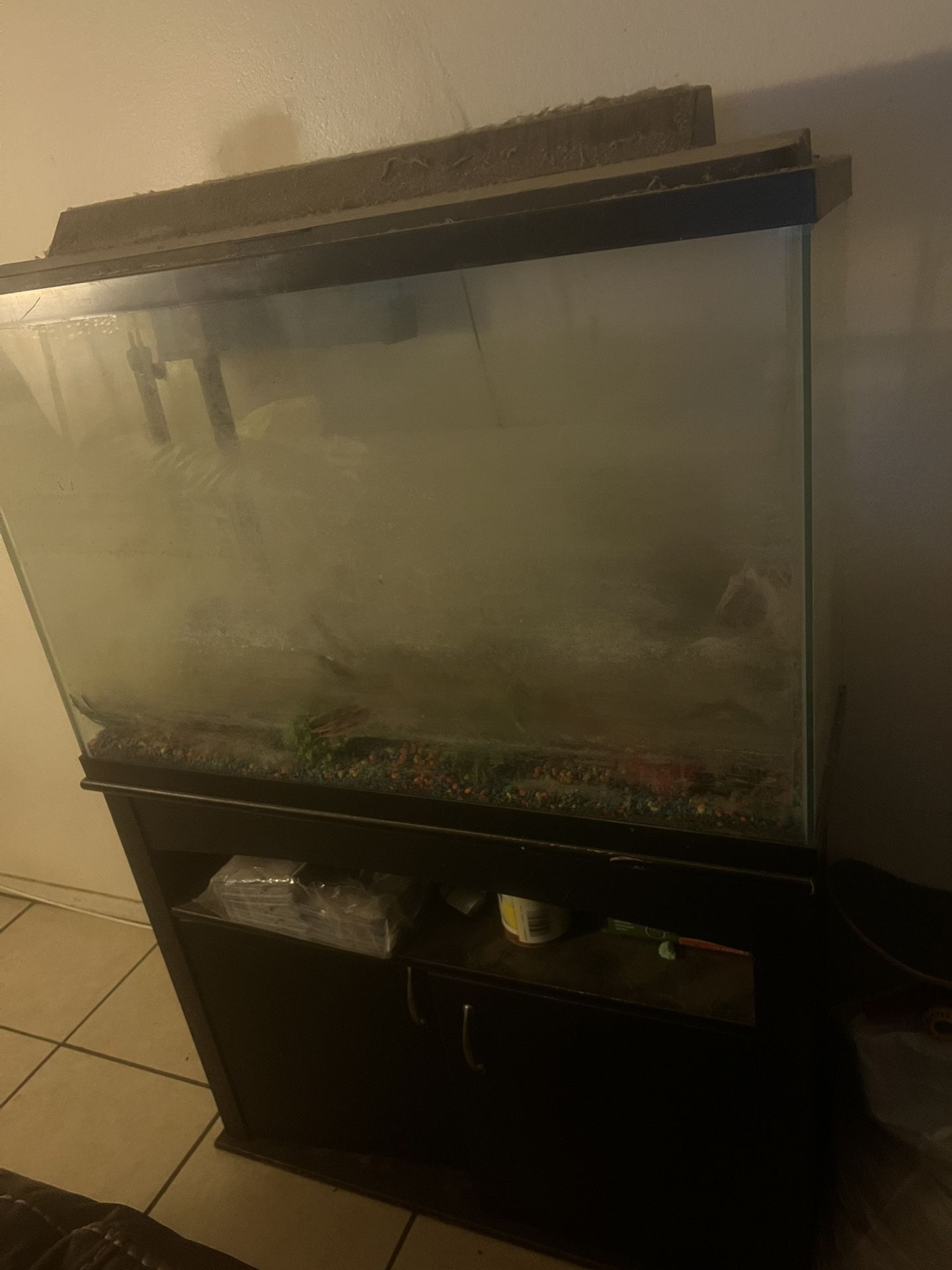 Fish Tank