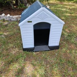  Dog House