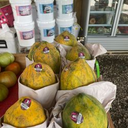 Frutas Frescas ,Huevos Organicos ,Dulce De Coco ,Sofritos ,Rabano ,Zanahoria, Aguacates Maduros,Jugo Natural De Mango Y Maraculla ,Huevos De Codosny  