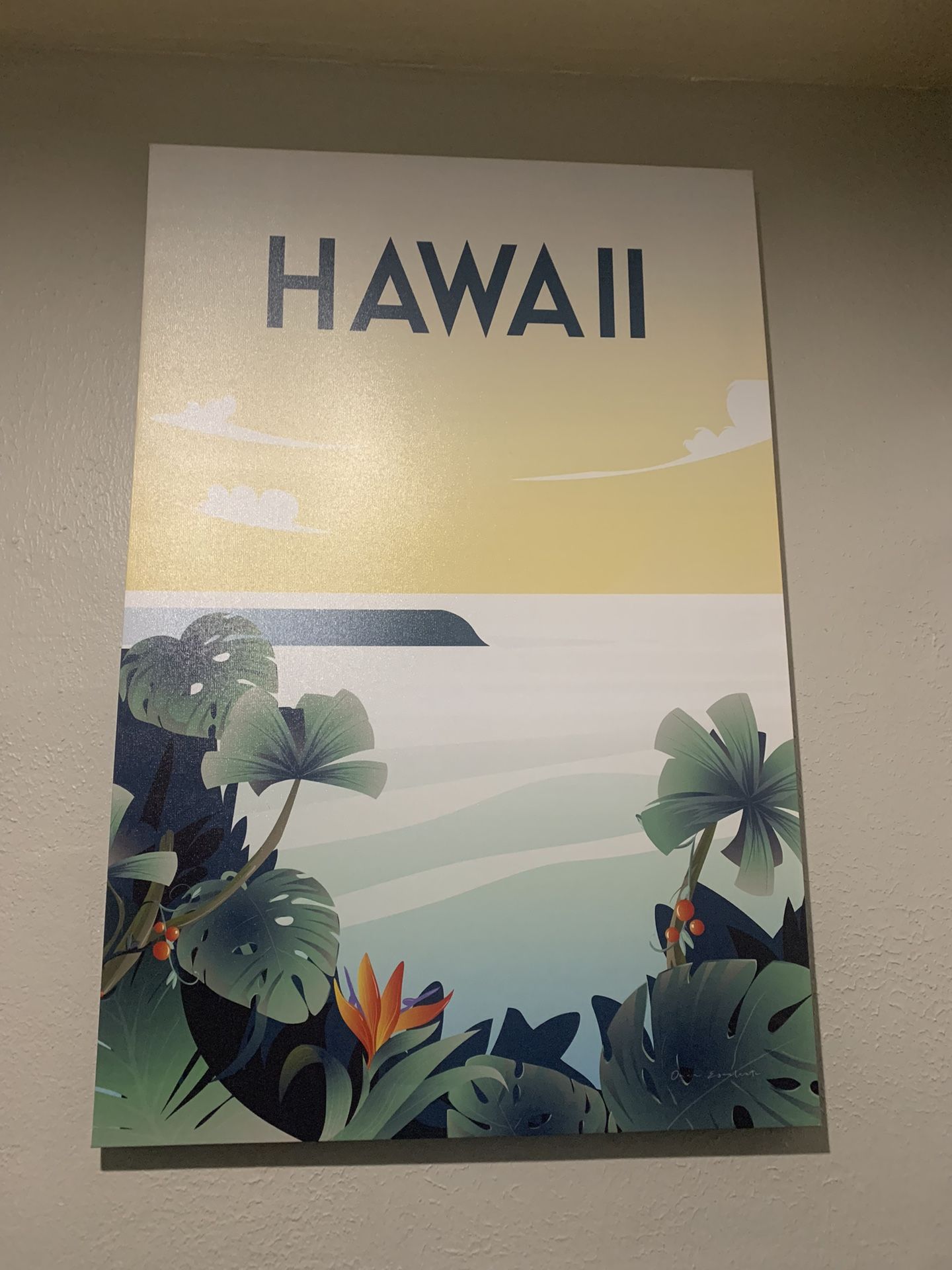 Hawaii Picture