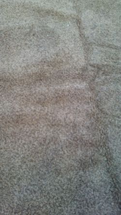 Carpet