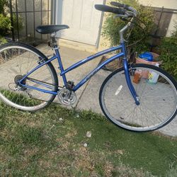 GT 21 Speed Chromoly Frame 18”