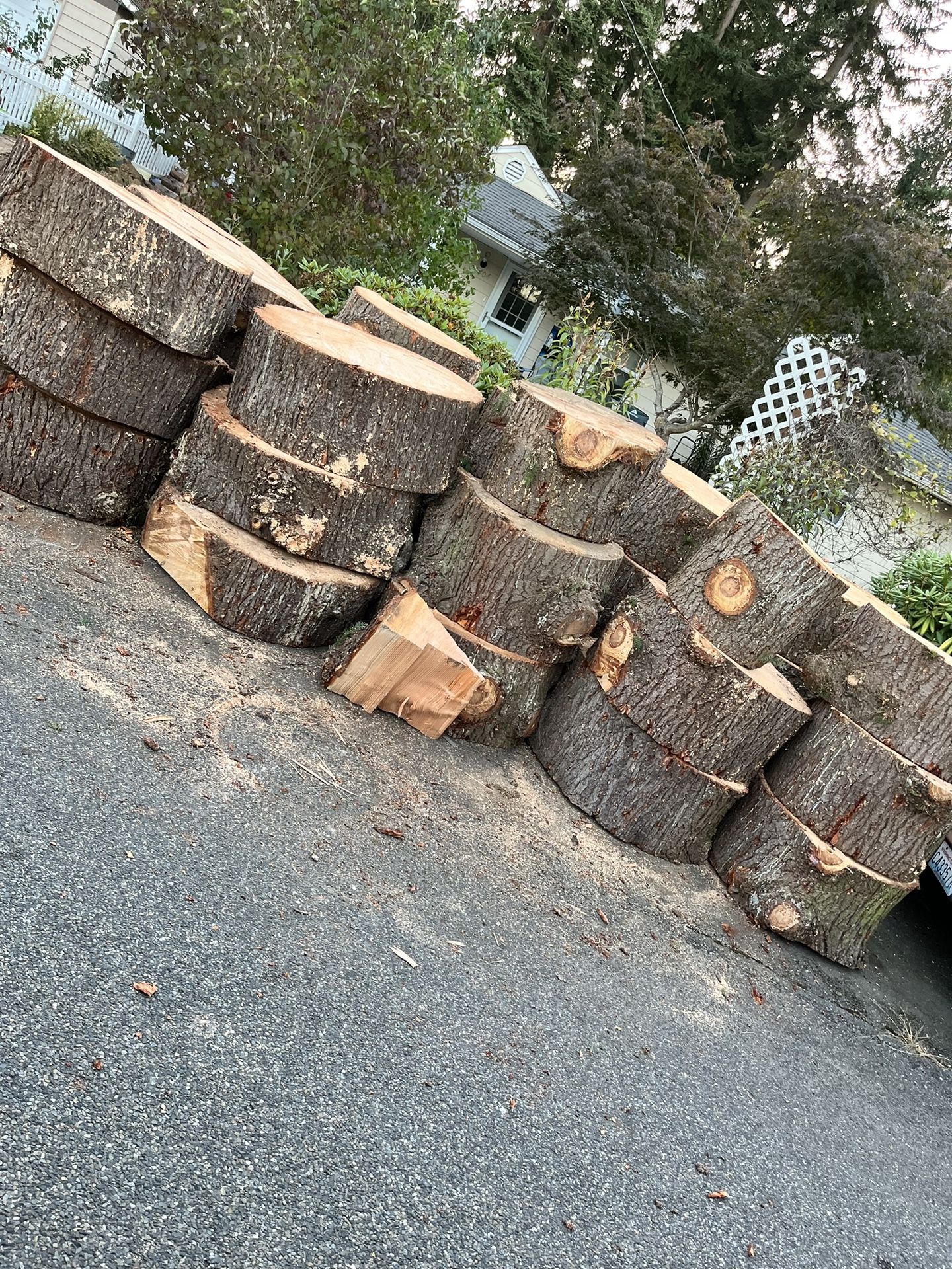 Free Firewood Rounds