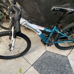 Bike 24” In Good Shape 